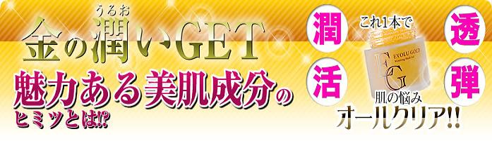 �G�{�����[�S�[���h�@�ɂ���