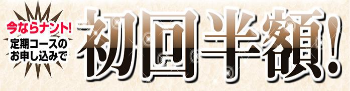 �G�{�����[�S�[���h�@�ɂ���
