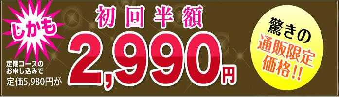 �G�{�����[�S�[���h�@�ɂ���